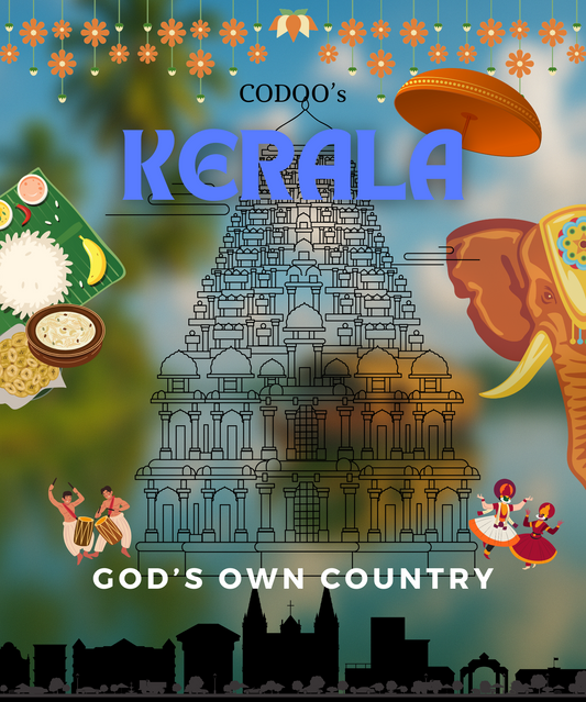 Kerala 🌴🛶